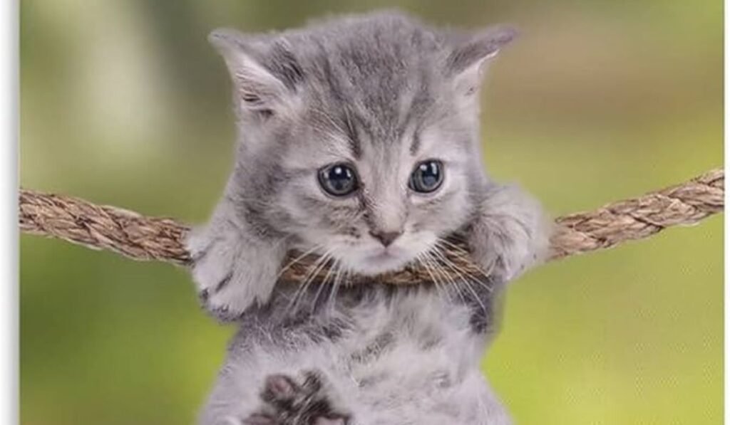 Hang in There