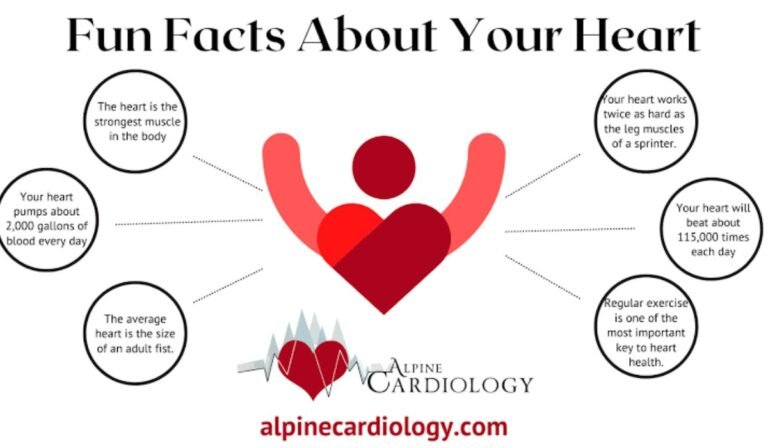HearthStats Interesting Facts
