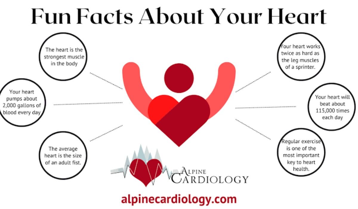 HearthStats Interesting Facts