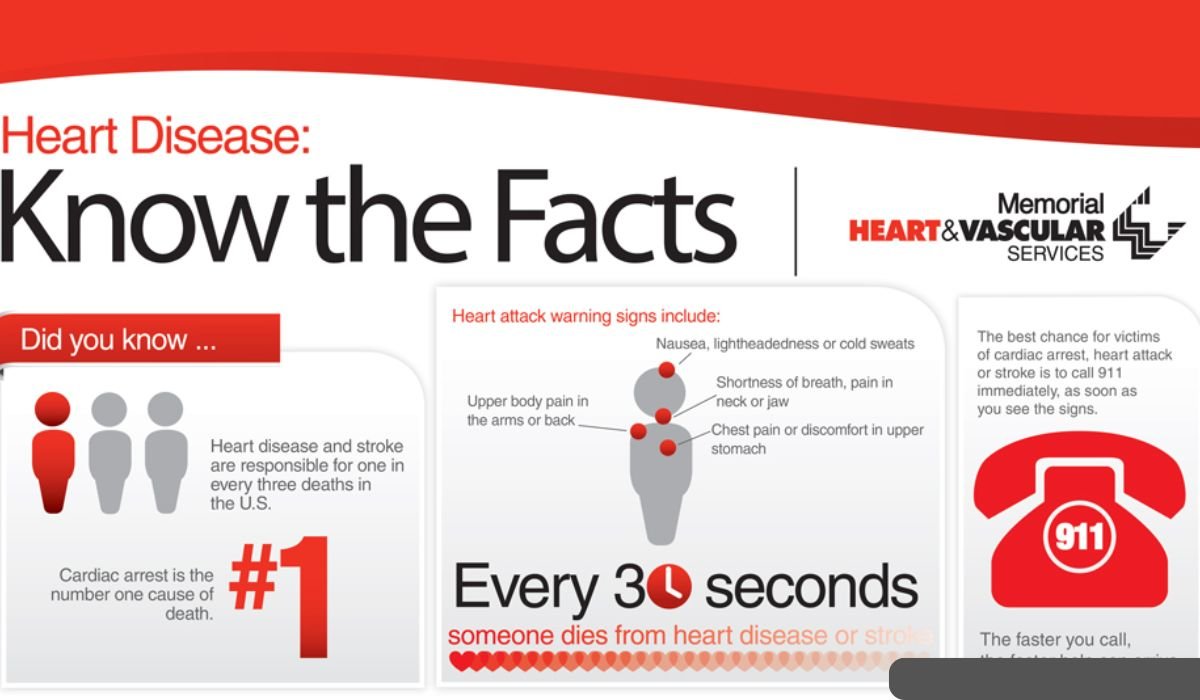 HearthStats Interesting Facts